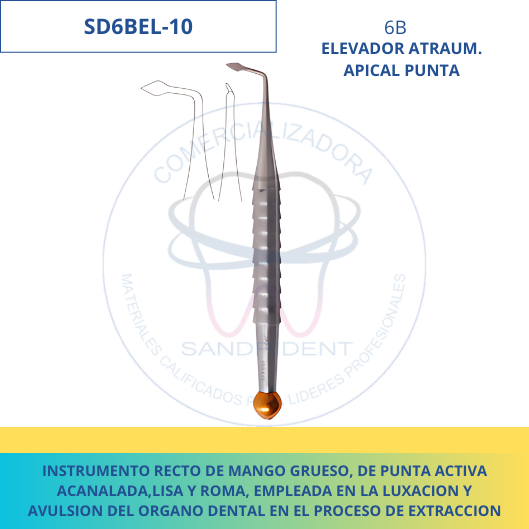 ELEVADOR ATRAUM. APICAL PUNTA